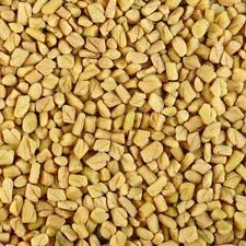 Fenugreek Seeds Exporter Or Seller