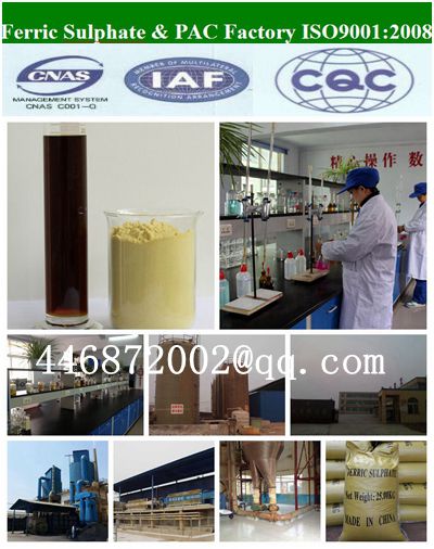 Ferric Sulphate The Factory In China