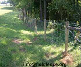 Field Fence Heng Shui