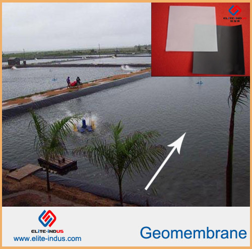 Fish Farm Pond Tunnel Liner Eva Ecb Geomembrane