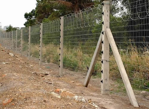 Flat Wrap Razor Wire Gives An Optimum Choice For Limited Space