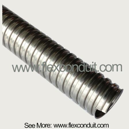 Flexible Metal Conduit