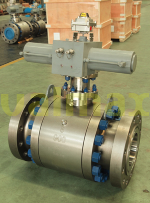 Forging Ball Valve 900 Lb 8 Inch Asme B16 5 Peek