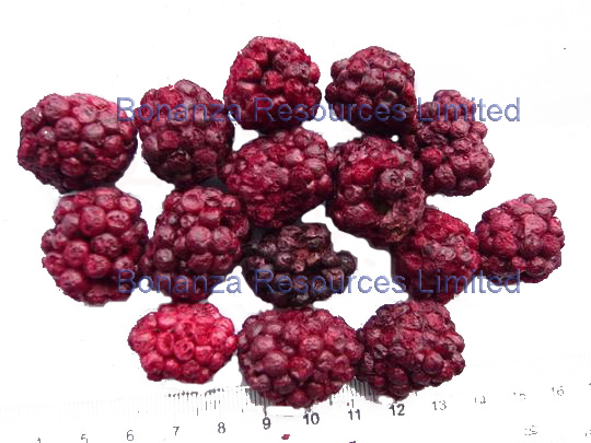 Freeze Dried Blackberry Whole