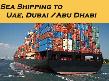 Freight Forwarding Door To Service Sea Ocean Forwarder