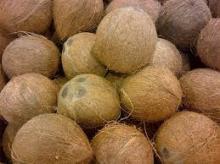 Fresh Coconut Husked Or De Tender Cococnuts Can Be Supplied