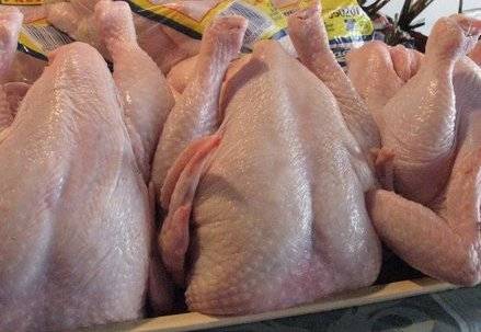 Fresh Frozen Halal Whole Chicken