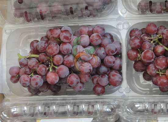 Fresh Superior Flame Grapes