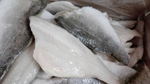 Frozen Sea Bass Fillet