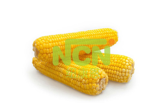 Frozen Yellow Waxy Corn