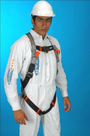 Full Boby Harness Lgr 202