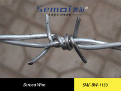 Galvanized Barbed Wire Fence