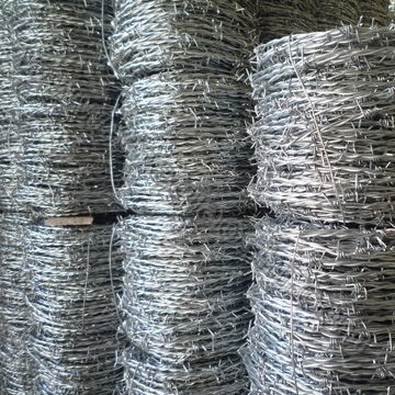 Galvanized Barbed Wire Mesh