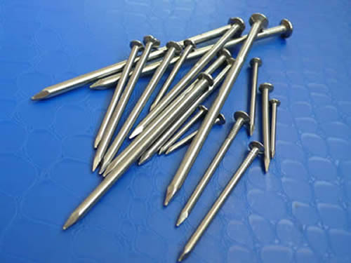 Galvanized Box Steel Nails For Light Construction