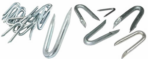 Galvanized Fence Staples