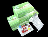 Gentamicin Elisa Test Kit