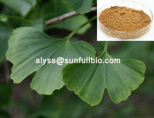 Ginkgo Biloba Extract 24 6