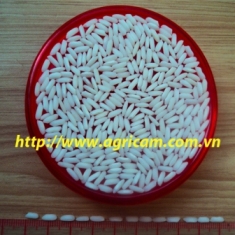 Glutinous Whtie Rice 10pct Broken