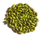 Green Pistachio Kernel