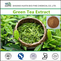Green Tea Extract Powder For Weight Loss