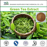 Green Tea Extract Powder For Weight Loss