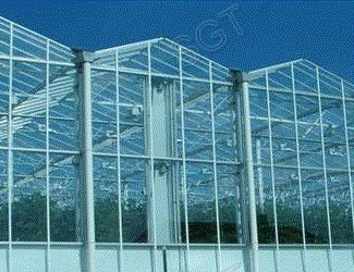 Greenhouse Glass