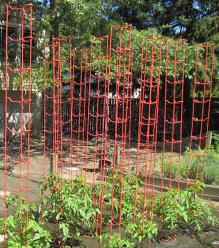 Heavy Duty Rigid Plastic Tomato Cages Defense Against Squirrels