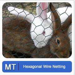 Hexagonal Wire Netting Metal Tec