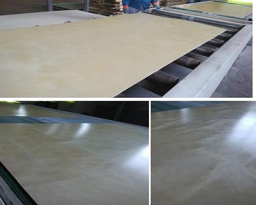 High Gloss One Face Or Double Uv Coating Plywood