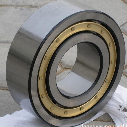 High Precision Cylindrical Roller Bearing Nu1022