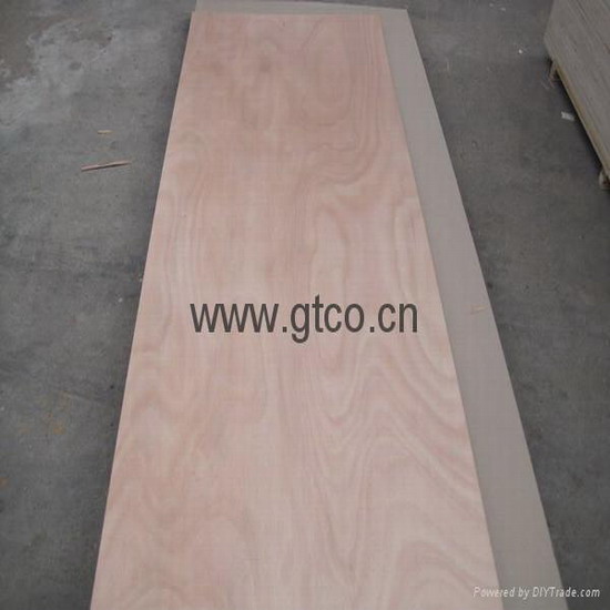 High Quality Door Skin Plywood