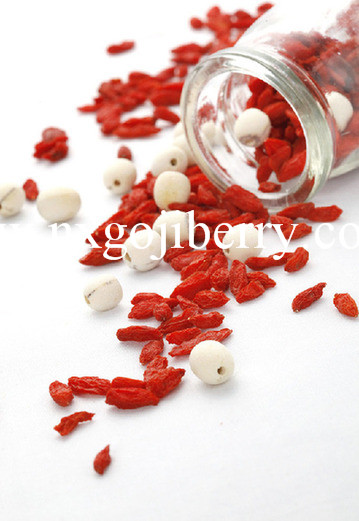 High Quality Goji Berries 180 Pcs 50g