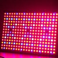 High Quality Herifi Bs003 Led Grow Light 600w