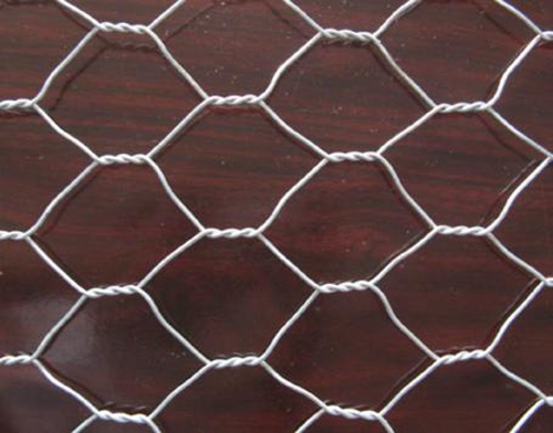 High Quality Hexagonal Netting Chicken Mesh