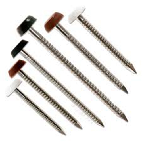 High Quality Roofing Nails With Plastic Head