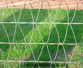 High Quality V Mesh Horse Fencing