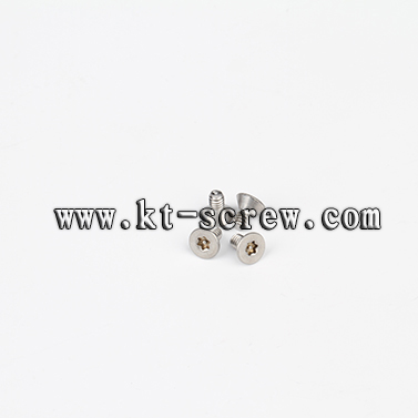 High Spray Test Stainless Steel Micro Screw