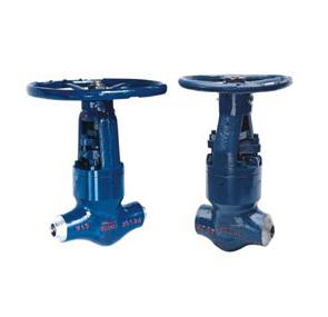 High Temperature And Pressure Power Station Globe Valve