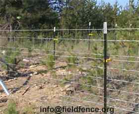 High Tensile Field Fence