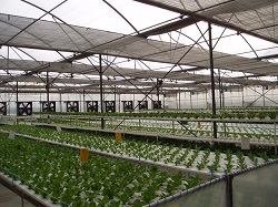 Horticulture Net Viewpoint