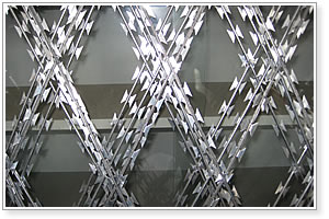 Hot Dipp Galvanizing Razor Wire Fence From China India Austrilia