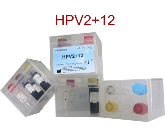 Hpv16 18 12 Hrhpv Genotyping Real Time Pcr Kit