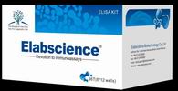 Human 945 2 Pi Plasmin Inhibitor Elisa Kit