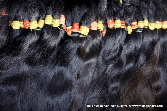 Human Hair Raw Remy Bulk