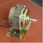 Huzhou Nanxun Washing Machine Motor