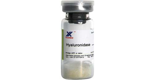 Hyaluronidase Complying With C P