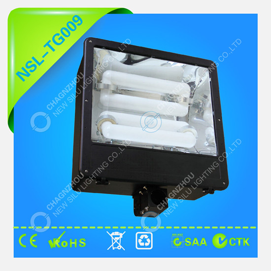 Induction Floodlight Nsl Tg009 Spot Lamp