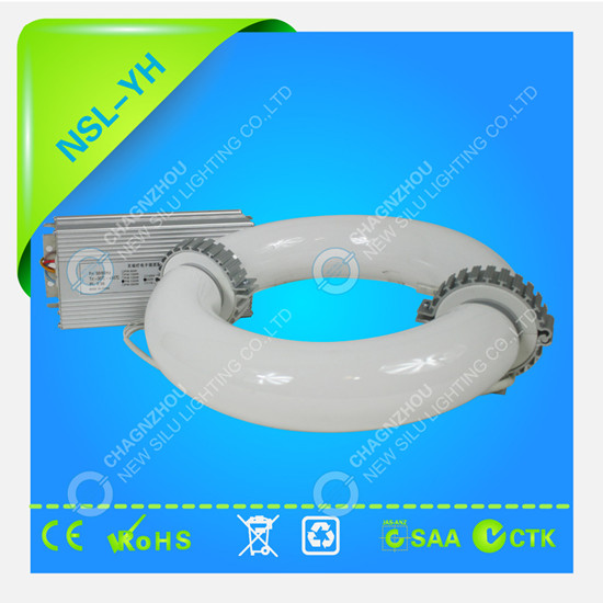 Induction Lamp Ring Environmentally Friendly