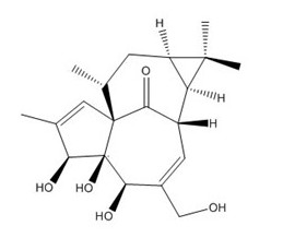 Ingenol Angelic Acid Betulinic Cyclopamine Cephalotaxine