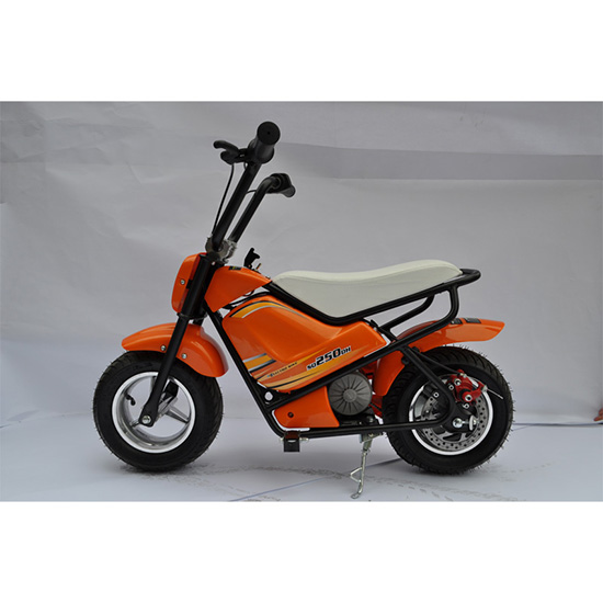 Kid Electric Scooters 250w